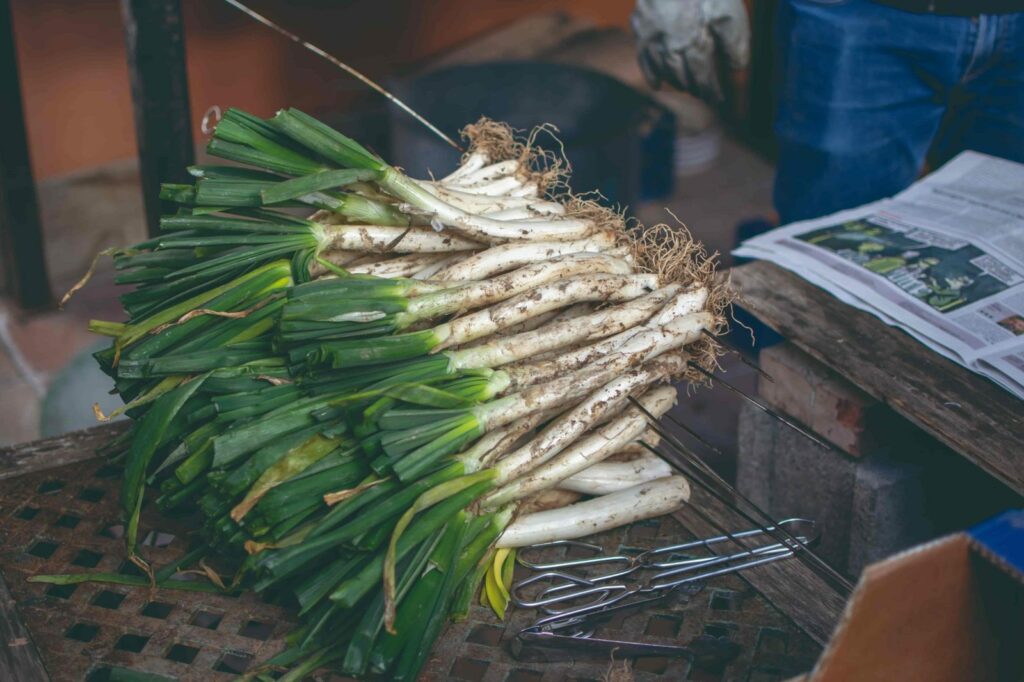 Lugares para hacer una buena calçotada en Barcelona