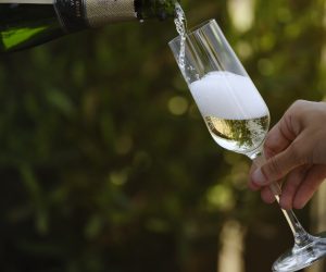 Welcome Cava enjoying Welcome Cava enjoying